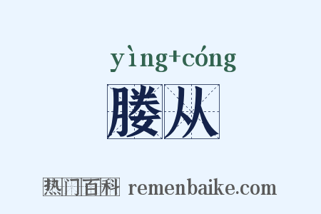 媵从是什么意思的图片